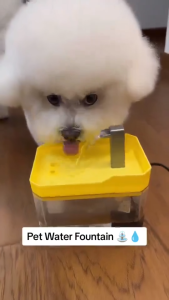 Cat Water Dispenser Automatic Circulation Intelligent Flow Water Dispenser Dog Water Bowl
