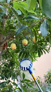 phẩm Dụng Cụ Gậy Sào Gồm 9 món Cao Cấp Dài 3-9 Mét Rút Gọn Tiện Lợi:GậyCưaLiềm4 MócChổi quét Vợt Hái QuảVớt Cá