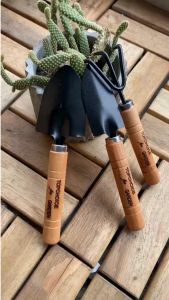 Bộ 3 dụng cụ làm vườn mini bộ cuốc xẻng cào bời đất dùng để trồng cây cảnhsen đá