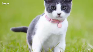 เครื่องมือตามตาม ขนาดเล็ก HOCO DI75 ใช้ติดตามสิ่งของ กันน้ำ IPX68 ดีไซน์รูปเปลือกหอย สวยงาม