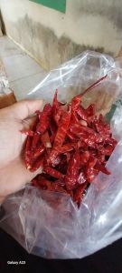 cabai rawit kering teja 5Kg impor india kualitas bagus super pedas