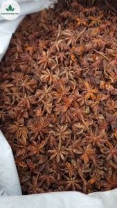 Hoa hồi 1kg đại hồi khô thơm gia vị tẩm ướp tự nhiên