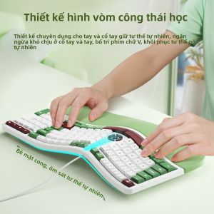 B.O.W | Ergonomic Wired Keyboard and Mouse Set USB