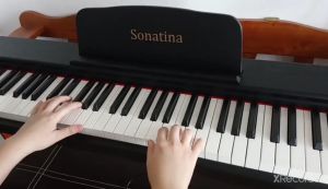 88 Keys Portable Digital Piano Keyboard Pure Piano Sound Electronic Piano Black Touch Sensitive Home Practice Spave Saving Good Sound Quality Low Price Sonatina M-250