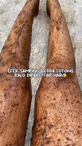 Grosir 5 Pcs Lulur Basah Bedda Lotong Original 100gram Khas Bugis Lulur Beddda Lotong Hitam Mencerahkan Kulit