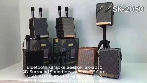 SK-2050 Bluetooth Karaoke Speaker 3D Surround Sound Heavy Bass with Two Wireless Microphone