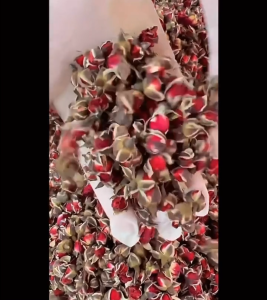 Teh Mawar Bunga Kering Tea Rose Bud WILD ROSES Alam Liar SUPER Premium Buds Flower Tea Herbal Dried Alami 50 Gram