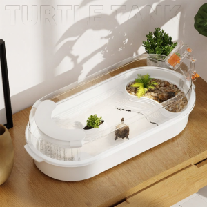 Tailwise | Small Recirculating System Turtle Tank