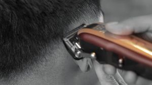 Wahl Professional Legend Cordless 5-Star Series Clipper Free Tray