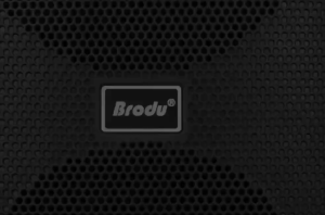 Speaker BTS-2225 Brodu Dual 8 inch Bluetooth Speaker With Rechargeable Wireless Microphone