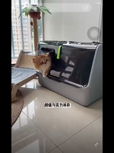 Large Fully Enclosed Cat litter box