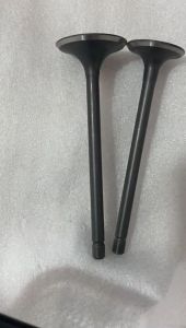 KLEP SET IN & EX VIAR KARYA 150 CC OEM VIAR PNP KAISAR DLL [TRS]