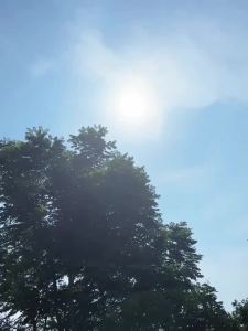 3 Đôi Bao Tay Chống Nắng Thoáng Khí Thấm Hút Mồ Hôi Dùng Được Cho Cả Nam Và Nữ Dành Cho Đạp Xe Và Các Hoạt Động Ngoài Trời Chất Liệu Polyester.