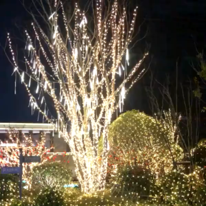 MG Lampu Tumblr Meteor Led Isi 8 Batang 50 Cm Dekorasi Pesta Natal Taman Outdoor