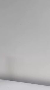 Nhà là trong tim con - Về nhà thôi và Chỉ dài một gang tay - Sách ươm mầm tình cảm gia đình trong bé - Lionbooks