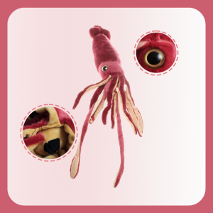 75cm Wine Red Deep Sea Squid Plush Toys: Soft Stuffed Animal Pillows for Kids & Home Decor
