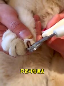 Cat Nail Clipper Pet Nail Cutter Dog Nail Trimmers Pet Claw Scissors for Cats Dog Rabbit Kuku Kucing