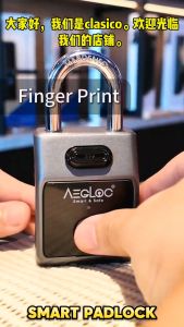 AEGLOC Smart Fingerprint Padlock (AEG-SPL-300)