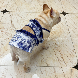 Pet Swimsuit Drafts One-Piece Strapless Bikini Breathable Vest Swimwear Sample Skirt Photography Costume Template