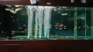 18W 24W 30W Aquarium Air Pump Electromagnetic Air Compressor Oxygen Pump Aerator Aquarium Oxygen Air Pond Pump Air Pump Electric Air Compressor Sewage Lift Air Lift Pump For Aquarium