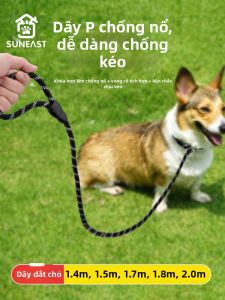 SUNEAST | Dây Dắt Chó P Chain Chống Rút Phản Quang
