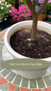 [CHÍNH HÃNG]Phân bón dạng Viên Nén Hữu Cơ Tan Chậm Bổ Sung Dinh Dưỡng Cho Cây HIỆU ÔNG GIÀ MUA 5 HỘP TẶNG 1