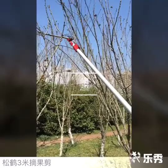 กรรไกรตัดกิ่งไม้สูง ด้ามยาว ตัด หนีบ เลื่อยได้