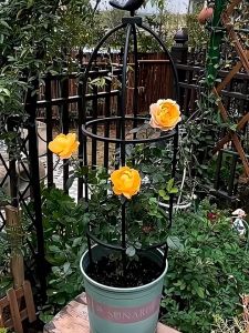 145cmX28cm ซุ้มกุหลาบเลื้อย ซุ้มไม้เลื้อย ซุ้มเหล็กโค้ง ของแต่งสวน ซุ้มงานแต่ง ชั้นวางดอกไม้ โครงซุ้มแต่งงาน อุปกรณ์ตกแต่งสวน เหล็กแข็งแรง PE กันสนิม กระถางต้นไม