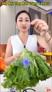 ĐÈN CHIẾU TIA CỰC TÍM UV. HÀNG CHÍNH HÃNG