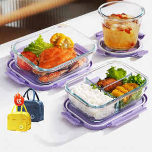 Microwaveable Compartmental Lunch Box