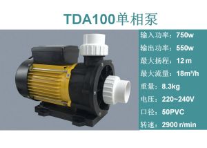 Oxygenating Massage Bath Tub Sea Water Fish Pond Circulation Pump TDATDA75 TDA100 TDA120 Engineering Plastic Electric Driven