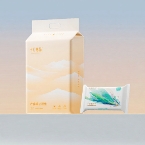 SHI YUE JIE JING | Postpartum Maternity Pad 10 Sheets