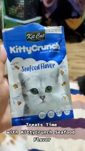 Pet Essentials for Cats: Discover the Delights of Kit Cat Kitty Crunch