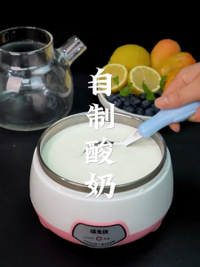 Bisour Homemade Yogurt Starter Culture | Kefir Starter | 10 Probiotics 🥛[Exp:2027/08]