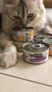 Kit Cat GRAVY Deboned Wet Can Food Cat Essentials 70g