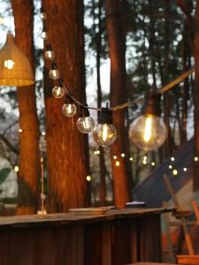 BEAUTY IN THE LIGHT | Solar Waterproof String Lights for Outdoor Decoration and Lighting