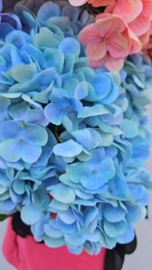 Bunga Artificial Hortensia Latex Tebal Premium x5 Flower High Quality