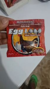 Egg 100 Battlecock Water Soluble sachet