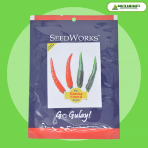 SEEDWORKS EXOTICA ERECT 6 SEEDS ( 25 GRAMS PACK )