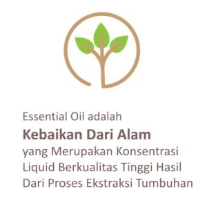Essenzo Ginger Essential Oil - 100% Pure Essential Oil yang diekstrak dari rimpang jahe