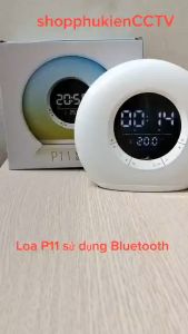 Loa Sử Dụng Bluetooth Chuyển Động Màu P11