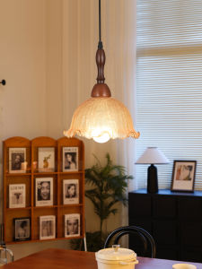 DGY | Retro Creative Atmosphere Pendant Light