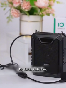 SD-M808 SHIDU VOICE AMPLIFIER | WIRED MIC | 18W | LED DSPL | BT | TF | USB | AUX | REC | TWS | IPX5 | BLACK