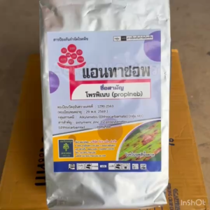 แอนทาซอพ โพรพิเนบ ป้องกันกำจัดโรคพืช หลายชนิด เชื้อรา ใบจุด ใบไหม้ แอนแทรคโนส ราแป้ง ราสนิม ปลอดภัยต่อพืช 1กก.