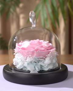 【Local Seller】Valentine Gift Preserved Rose Flower Glass Dome for Birthday Anniversary Gift for Her