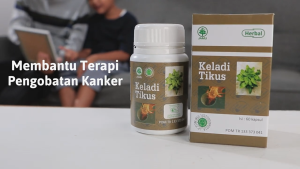 HIU Keladi Tikus 60 Kapsul - Herbal Anti Kanker & Penguat Imun