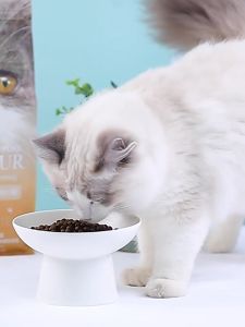 Hạt mèo TEB K8 cho mèo Kén ăn 18kg