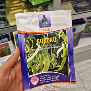 Benih Koroku 50gr Cap Candi Produktivitas 2-3kg per Tanaman