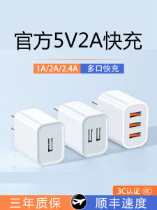 Universal 5V2A USB Power Adapter Single Head Dual Port Bluetooth Speaker Mobile Phone Charger Compatible with  Type-C Android