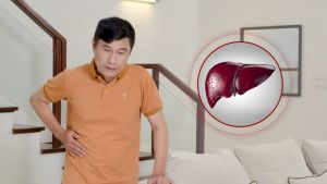 Giải Độc Gan Nam Dược hộp 30 viên nang - Giúp hạ men gan hỗ trợ chức năng gan suy giảm do virus viêm gan xơ gan